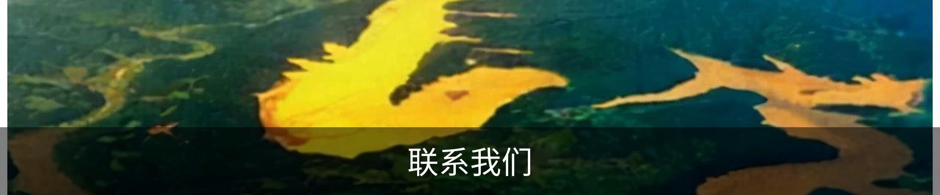 联系我们